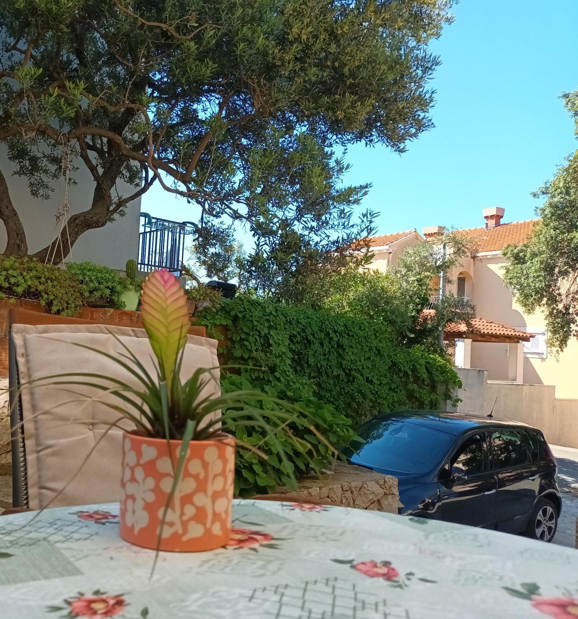 Leilighet Paula Cavtat